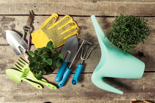 Professional lawn mowing service in Hounslow
