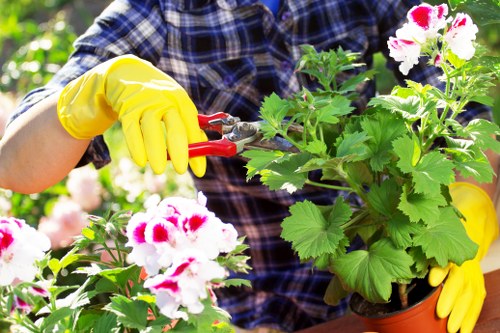 Professionals conducting garden clearance in Hounslow