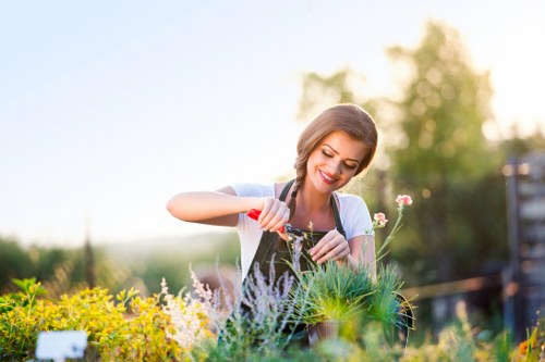 A woman tending to a garden in an outdoor residential space during daylight, with a variety of flowering plants, shrubs, and small trees visible. The garden features a well-maintained lawn with lush, green grass in the foreground, bordered by flower beds containing plants with yellow, white, and purple blossoms. She is using gardening shears to trim a bush or hedge, with the background showing more trees and foliage under a clear, bright sky, suggesting a pleasant, sunny day. The setting appears tidy and cared for, illustrating outdoor gardening work typical of professional horticultural services in Hounslow. The natural light highlights the vibrant colours and healthy condition of the plants, with subtle shadows indicating the time of day. This image supports gardening and landscaping themes relevant to local outdoor maintenance and hedge trimming services offered by Hedge Trimming Hounslow.