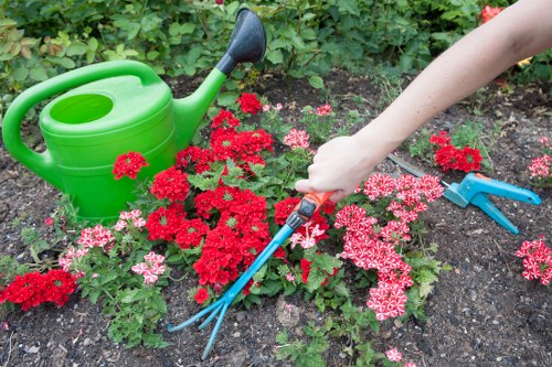 Professional landscape gardening design in Hounslow