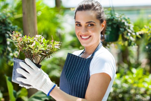 Healthy plants in a Hounslow garden