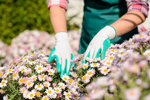Diverse plant selection for Hounslow gardens