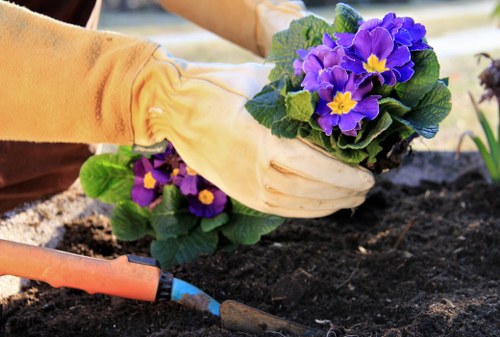 Hounslow hedge maintenance during different seasons