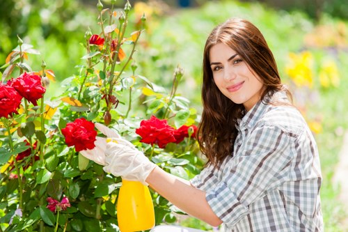 Sustainable gardening practices in Hounslow