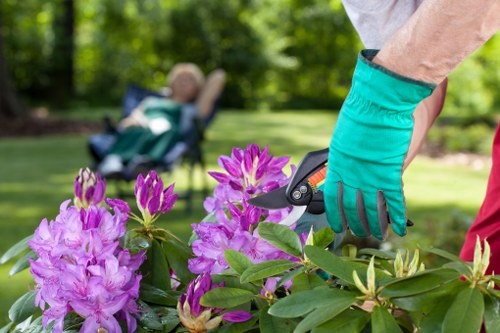 Seasonal hedge trimming in a residential garden in Hounslow