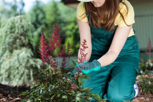 Eco-friendly decking options in Hounslow outdoor space