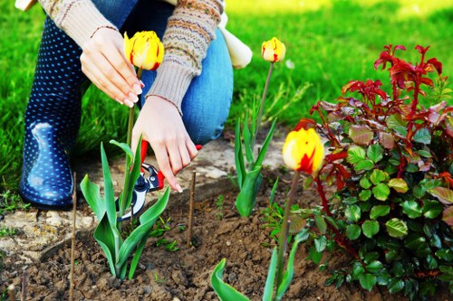 Hounslow climate and soil for gardening
