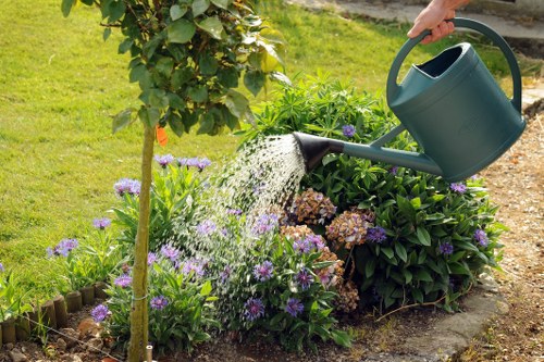 Enhancing lawn health with professional mowing