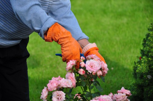 Professional trimming a hedge in Hounslow