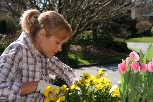 Crew using tools with safety barriers near a roadside hedge