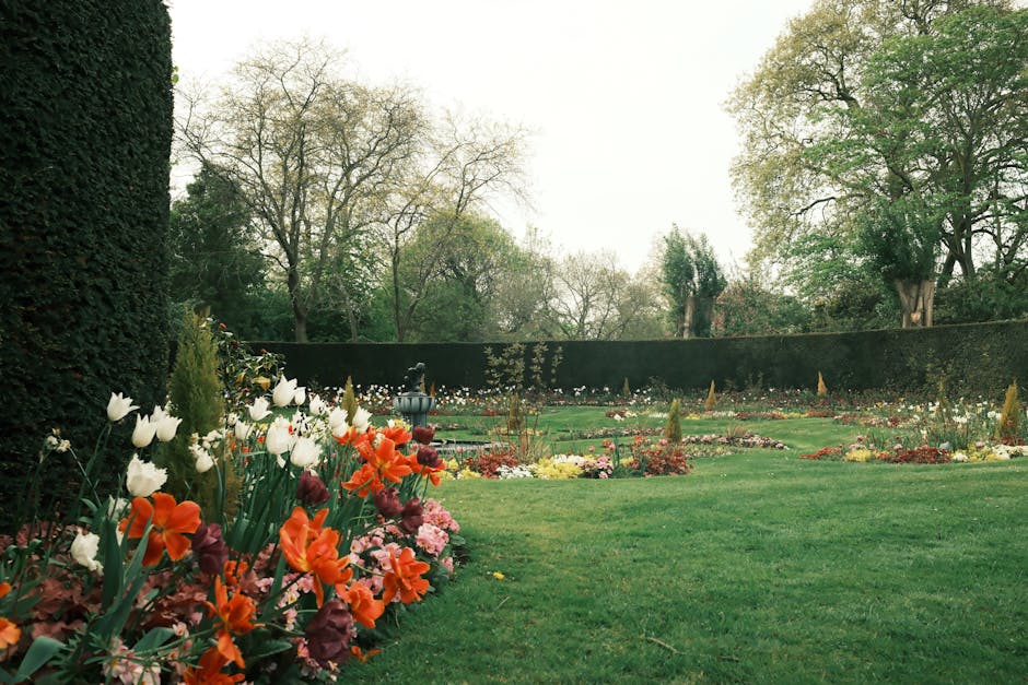 A well-maintained garden in Lampton Park, Hounslow TW4, featuring a lush green lawn bordered by colorful flower beds with tulips and other seasonal blooms. On the left side, dense, neatly trimmed ever
